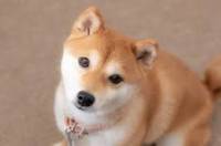 確認()