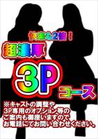 3Pコース(33)